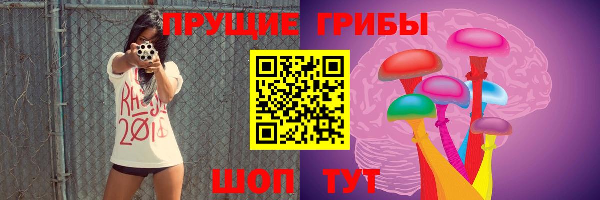 Бузулук  Псилоцибиновые грибы Psilocybe  Вход с VPN 